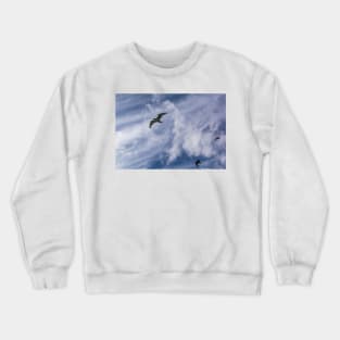 Three seagulls flying in the blue cloudy sky Crewneck Sweatshirt